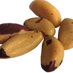 Brazil Nuts